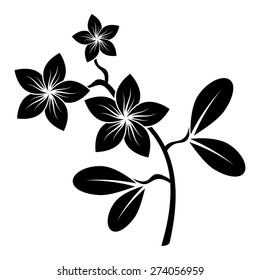 Frangipani branch silhouette vector for design.