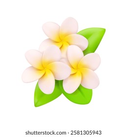 Frangipani bunch with leaves vector 3d icon. White and yellow plumeria flowers isolated. Tropical illustration