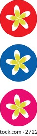 Frangipani Flower, Bunga Jepun, Bunga Kamboja can be found mostly in Bali Indonesia. Balinese usually use it as for praying and also decorations