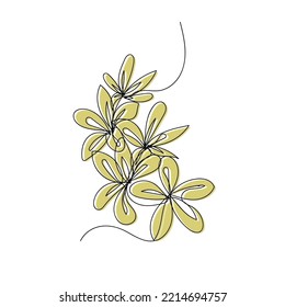 frangipani flower continuous line. frangipani flower line drawing, suitable for wall decoration, room decoration. frangipani flower doodle art work