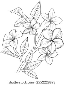 Frangipani flower drawing, vector sketch hand drew illustration artistic, simplicity, coloring pages, printable pansy flower coloring pages, flower coloring sheet, isolated on white background