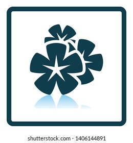 Icono de las flores de Frangipani. Diseño de reflexión de sombra cuadrada. Ilustración vectorial.
