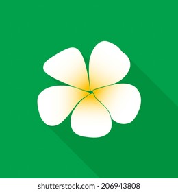 Frangipani flower icon - Vector