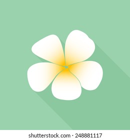 Frangipani flower icon - Vector