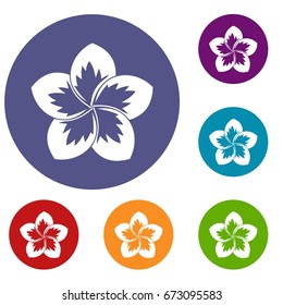 Frangipani flower icons set in flat circle reb, blue and green color for web