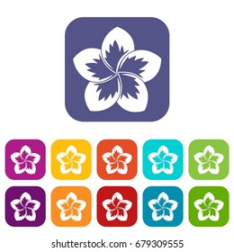 Frangipani flower icons set vector illustration in flat style In colors red, blue, green and other