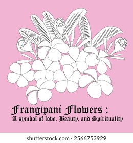 Frangipani flower illustration in black and white line art style,set against a soft pink bg.This artistic floral design includes hand-drawn petals,leaves,and buds,with a decorative vintage font. 