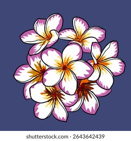 Frangipani flower. Also known as plumeria flower. Beautiful flower that has a distinctive fragrant aroma. Has various types of flower colors