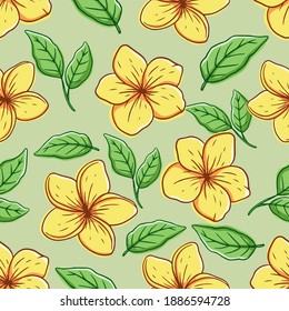 Frangipani-Blume in nahtlosem Muster mit farbigem handgezeichnet