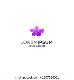 Frangipani flower spa logo vector