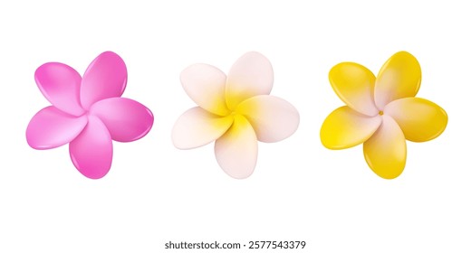 Frangipani flower vector 3d set. Collection of tropical plumeria flowers isolated on white background. Summer design elements