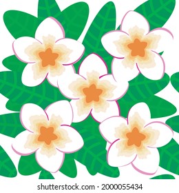 Frangipani flower vector illustration. Seamless pattern.