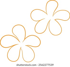 
frangipani flower vector line art illustration