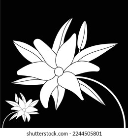 frangipani flowers in black and white are simple and luxurious, suitable for use in all fields, especially those related to the plant world