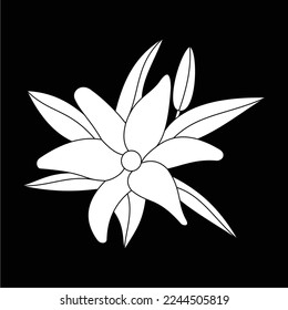 frangipani flowers in black and white are simple and luxurious, suitable for use in all fields, especially those related to the plant world