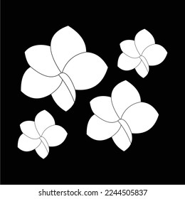 frangipani flowers in black and white are simple and luxurious, suitable for use in all fields, especially those related to the plant world