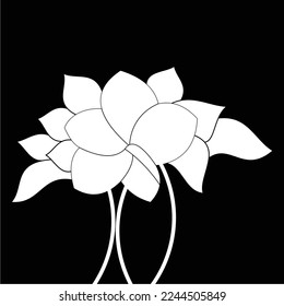 frangipani flowers in black and white are simple and luxurious, suitable for use in all fields, especially those related to the plant world