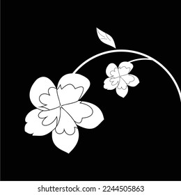 frangipani flowers in black and white are simple and luxurious, suitable for use in all fields, especially those related to the plant world