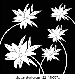 frangipani flowers in black and white are simple and luxurious, suitable for use in all fields, especially those related to the plant world