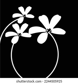 frangipani flowers in black and white are simple and luxurious, suitable for use in all fields, especially those related to the plant world