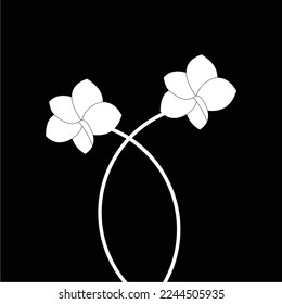 frangipani flowers in black and white are simple and luxurious, suitable for use in all fields, especially those related to the plant world