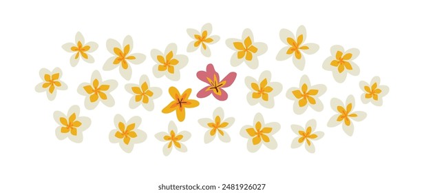 Las flores de Frangipani tienen varios colores, incluyendo blanco, amarillo y rosa. Esta flor tiene una fragancia distintiva, por lo que es fácilmente reconocida por las personas que la huelen.