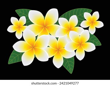 Flores frangipani con hojas. Vector gráfico