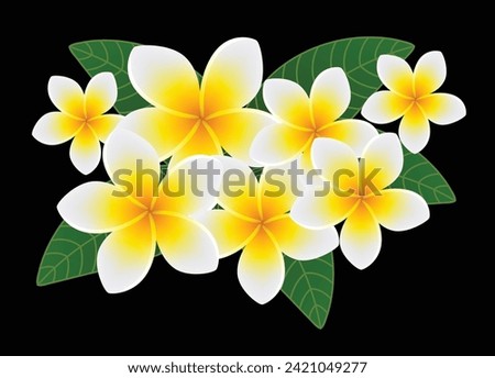 Similar – Image, Stock Photo frangipani Frangipani
