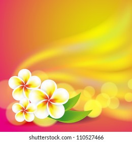 Frangipani flowers on colorful background. EPS10 vector.