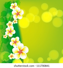 Frangipani flowers on green background. EPS10 vector.