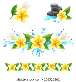 Frangipani flowers set