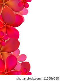 Frangipani Frame With Water Drops, Vector Illustration