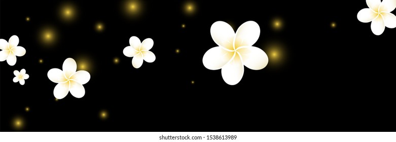 Frangipani leaves. Falling Bali plumeria flower. Hawaii nature texture.