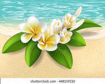 Frangipani on the beach
