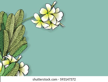 Frangipani and Palm leaves Isolated On White Background, Vector Illustration.flower frame with place for your text.