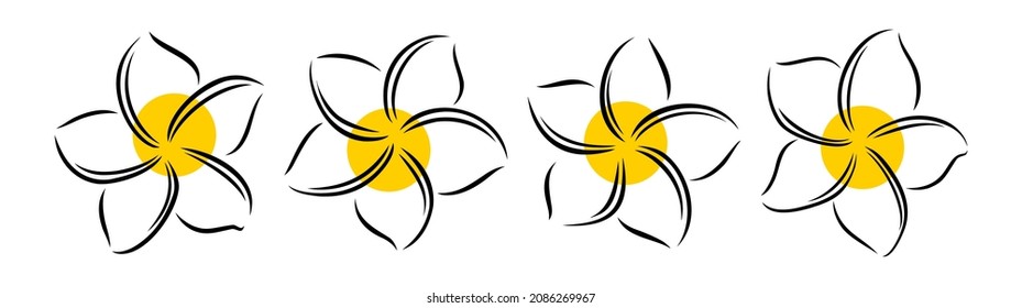 Frangipani or plumeria exotic summer flower. Engraved frangipani isolated in white background. Outline vector illustration
