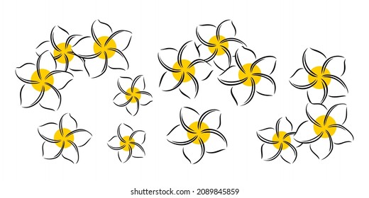 Frangipani or plumeria exotic summer flower. Engraved frangipani isolated in white background. Outline vector illustration
