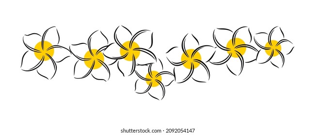 Frangipani or plumeria exotic summer flower. Engraved frangipani isolated in white background. Outline vector illustration