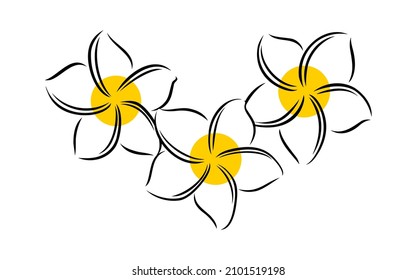 Frangipani or plumeria exotic summer flower. Engraved frangipani isolated in white background. Outline vector illustration