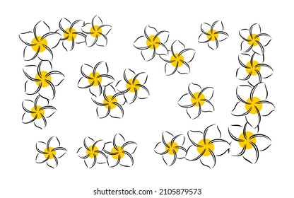 Frangipani or plumeria exotic summer flower. Engraved frangipani isolated in white background. Outline vector illustration