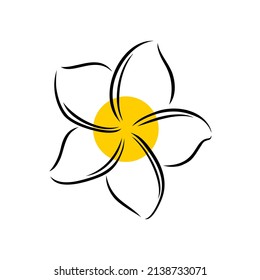 Frangipani or plumeria exotic summer flower. Engraved frangipani isolated in white background. Outline vector illustration