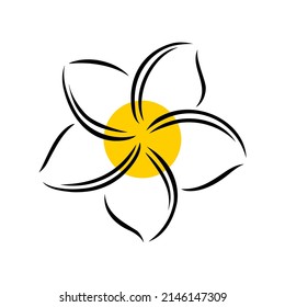 Frangipani or plumeria exotic summer flower. Engraved frangipani isolated in white background. Outline vector illustration