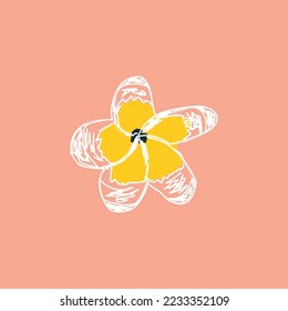 Frangipani or plumeria exotic summer flower with yellow petals. Hand-drawn frangipani blossom isolated in pink background.
