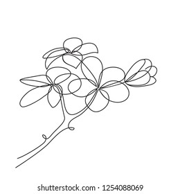 Frangipani Plumeria flower. One line drawing art