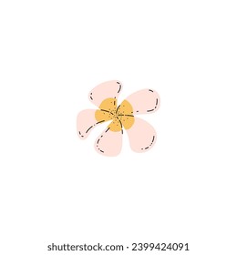 Frangipani or Plumeria Hawaiian exotic flower, flat vector illustration isolated on white background. Tropical exotic and beautiful flower of Hawaiian and Indonesian.