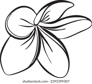 Flor tropical frangipani y plumeria. Arte frangipani de línea dibujada a mano aislado de fondo blanco. Ilustración de contorno vectorial.Flores exóticas decorativas tropicales, florecimiento