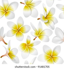 Frangipani (Plumeria) Tropical Flowers. Seamless Pattern Background. Vector Illustration