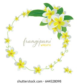 Frangipani Round Wreath Isolated On White Background, Vector Illustration. Perfect for wedding invitations.