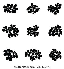 frangipani silhouette