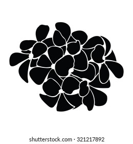 frangipani silhouettes for design vector